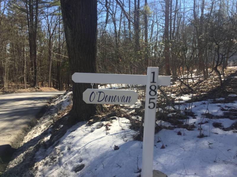 Picture from Gene O, NY